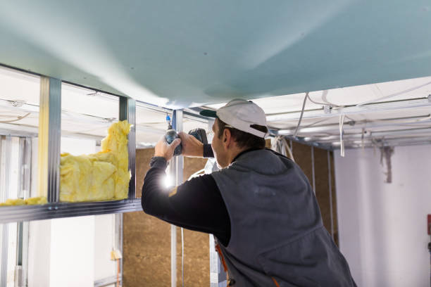 Best Insulation Installation Services in Fort Lee, VA