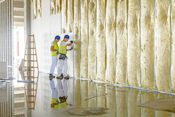 Best Residential Insulation in Fort Lee, VA